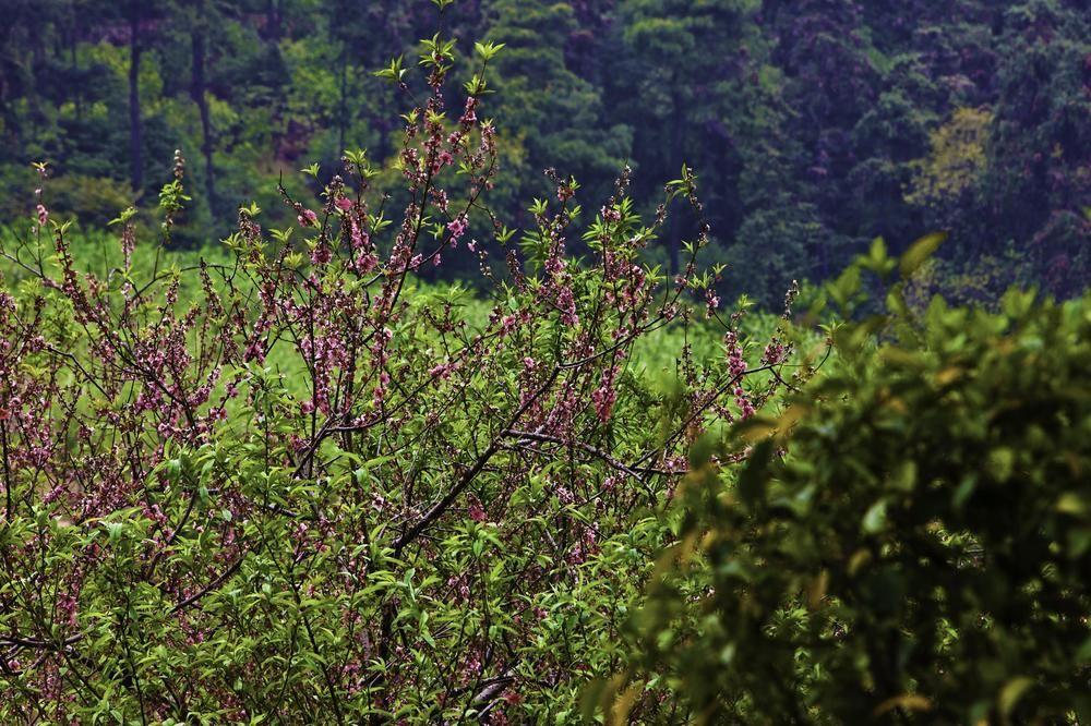 Aloft Nanhai, Foshan Bagian luar foto